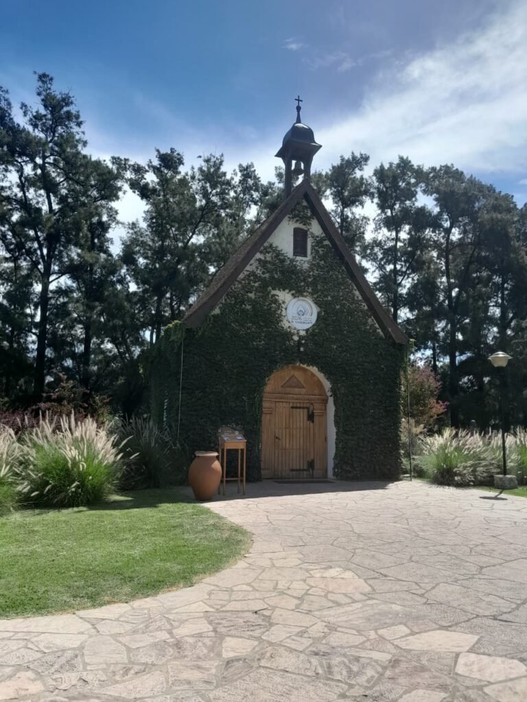 WhatsApp Image 2026-03-01 at 2.24.07 PM