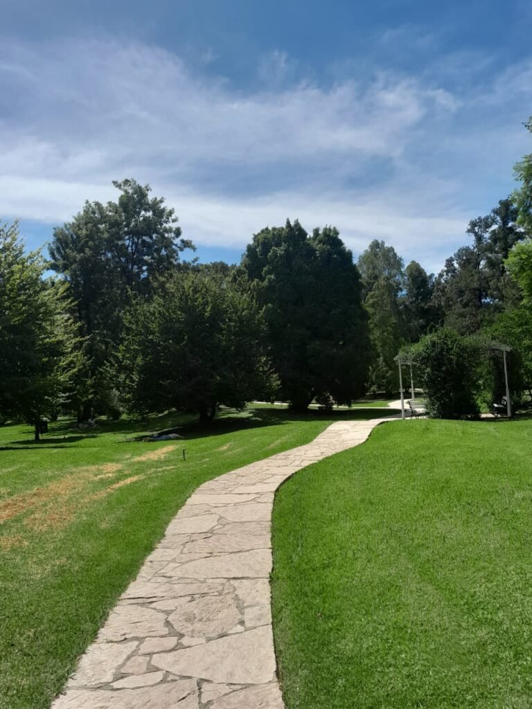 WhatsApp Image 2026-03-01 at 2.28.34 PM